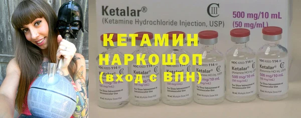 крисы Алексин