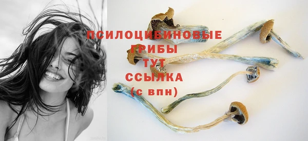 гашик Алексеевка
