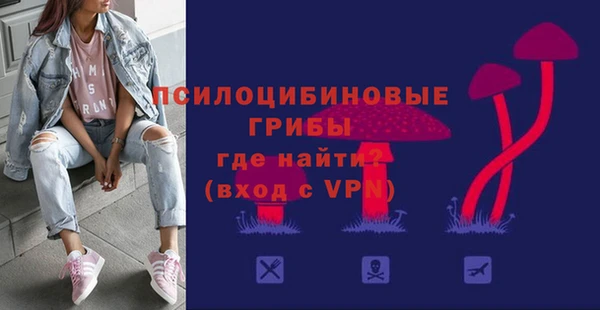 крисы Алексин