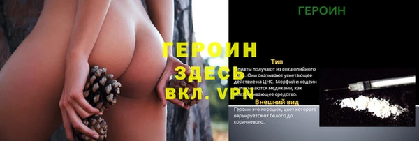 гашик Алексеевка