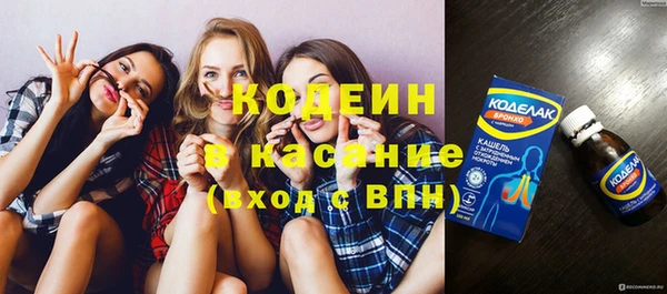 гашик Алексеевка