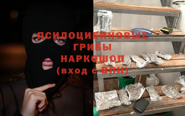 крисы Алексин