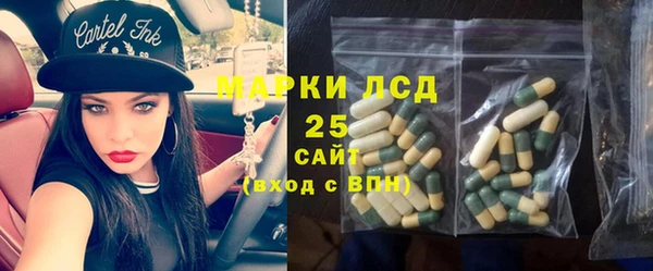 крисы Алексин