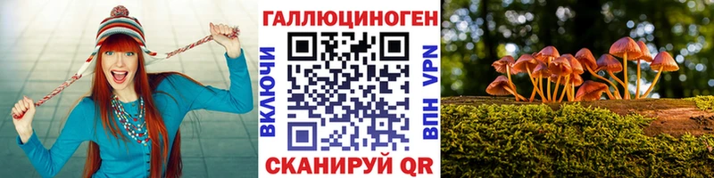 Галлюциногенные грибы прущие грибы  Томск 
